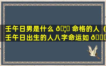 壬午日男是什么 🦊 命格的人（壬午日出生的人八字命运如 🐞 何）